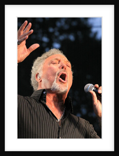 Tom Jones (2) by L. Paul Mann